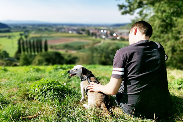 Urlaub mit Hund im Schwarzwald
