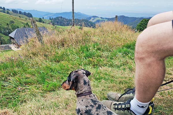 Urlaub mit Hund im Schwarzwald