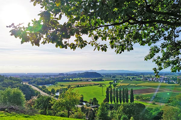 Traumhafte Wanderwege rund um Waldkirch
