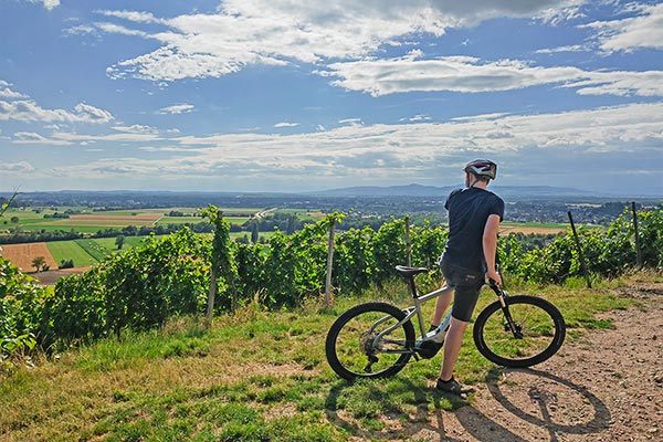 Das gut ausgeschilderte Radwegenetz bringt Sie an die schönsten Flecken