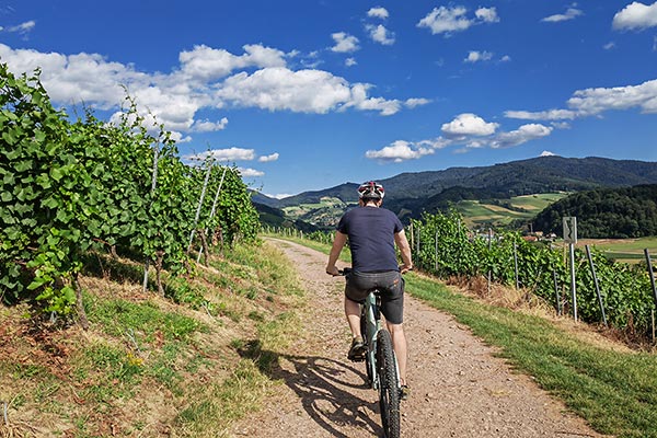 Das gut ausgeschilderte Radwegenetz bringt Sie an die schönsten Flecken