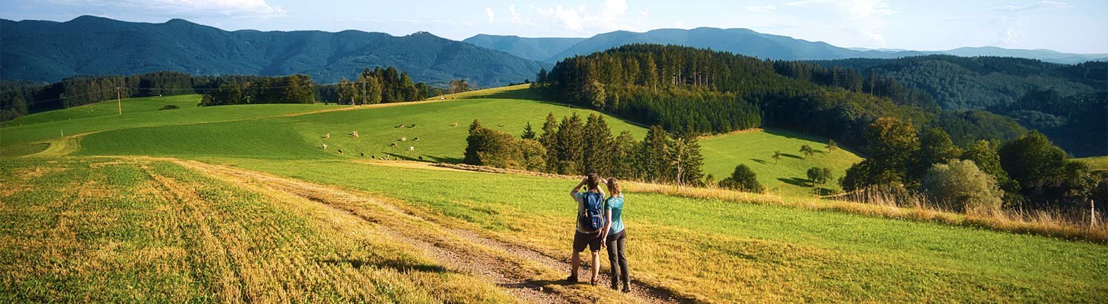 Hotel Restaurant Suggenbad Waldkirch bei Freiburg Schwarzwald